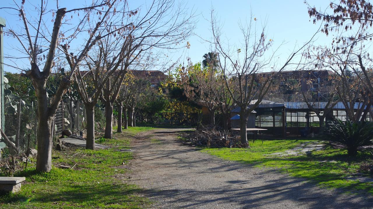 Pensjonat Agriturismo Masseria I Risi SantʼEufemia Lamezia Zewnętrze zdjęcie