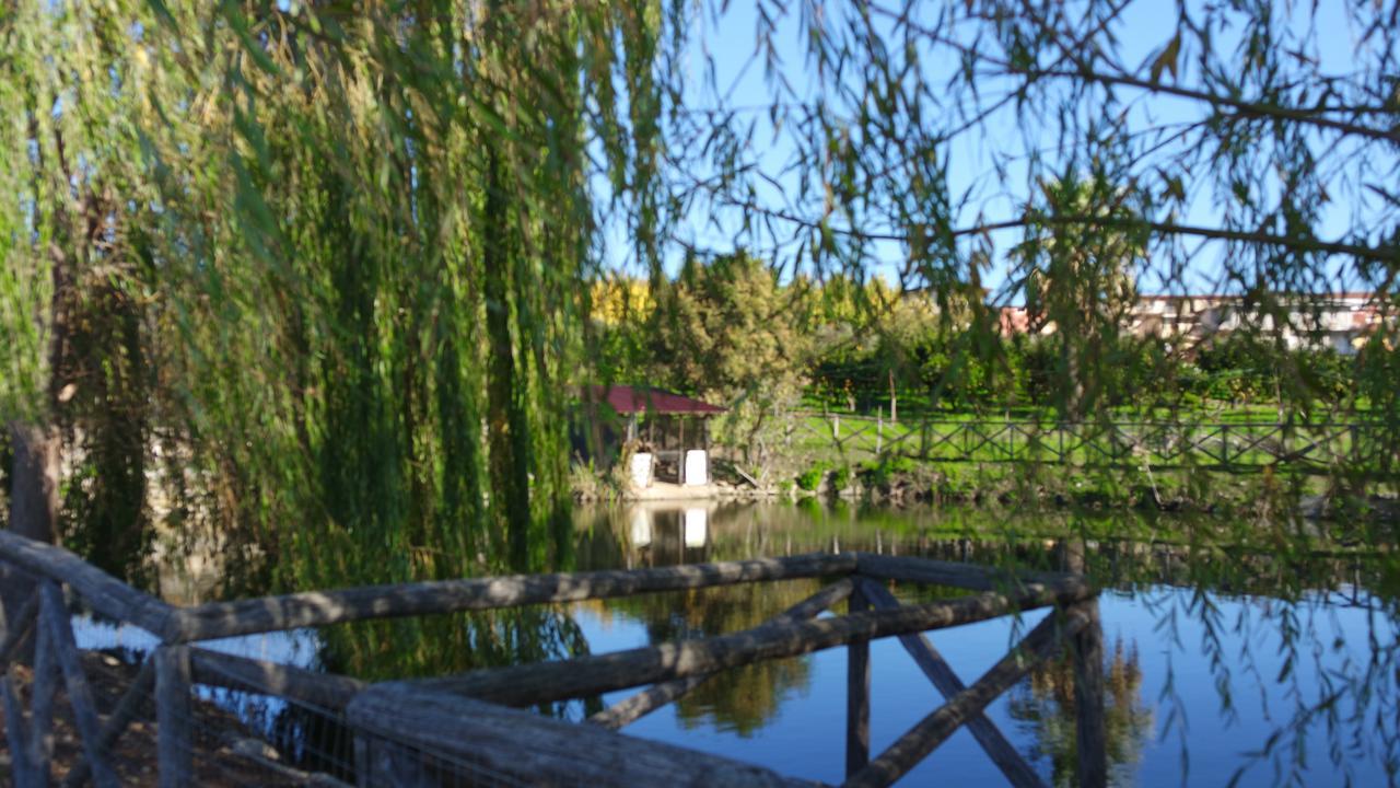 Pensjonat Agriturismo Masseria I Risi SantʼEufemia Lamezia Zewnętrze zdjęcie