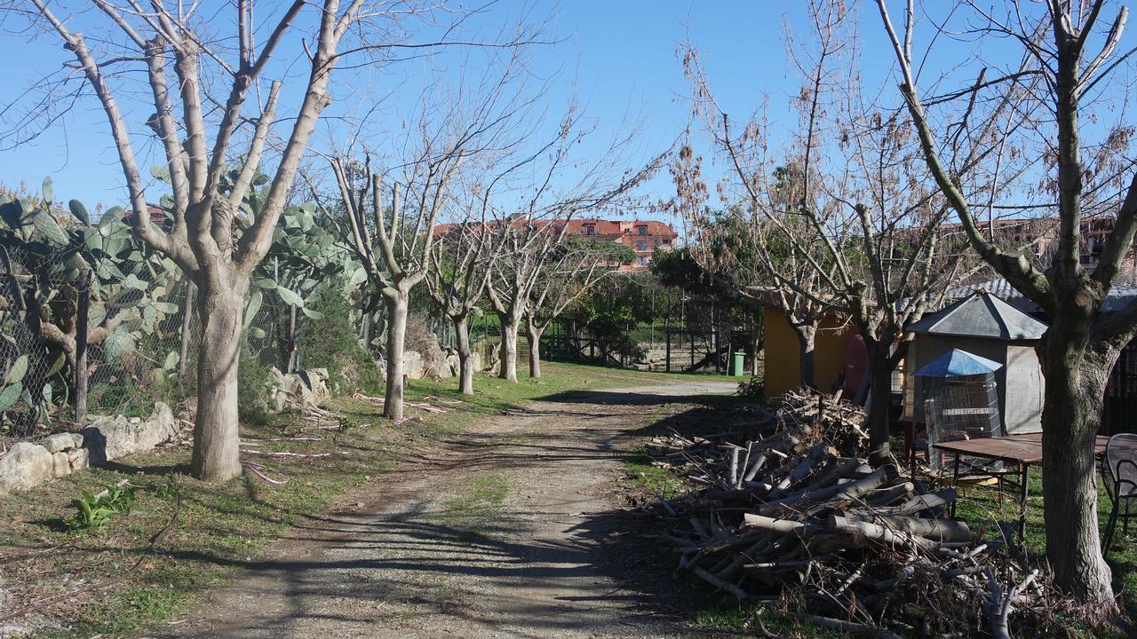 Pensjonat Agriturismo Masseria I Risi SantʼEufemia Lamezia Zewnętrze zdjęcie