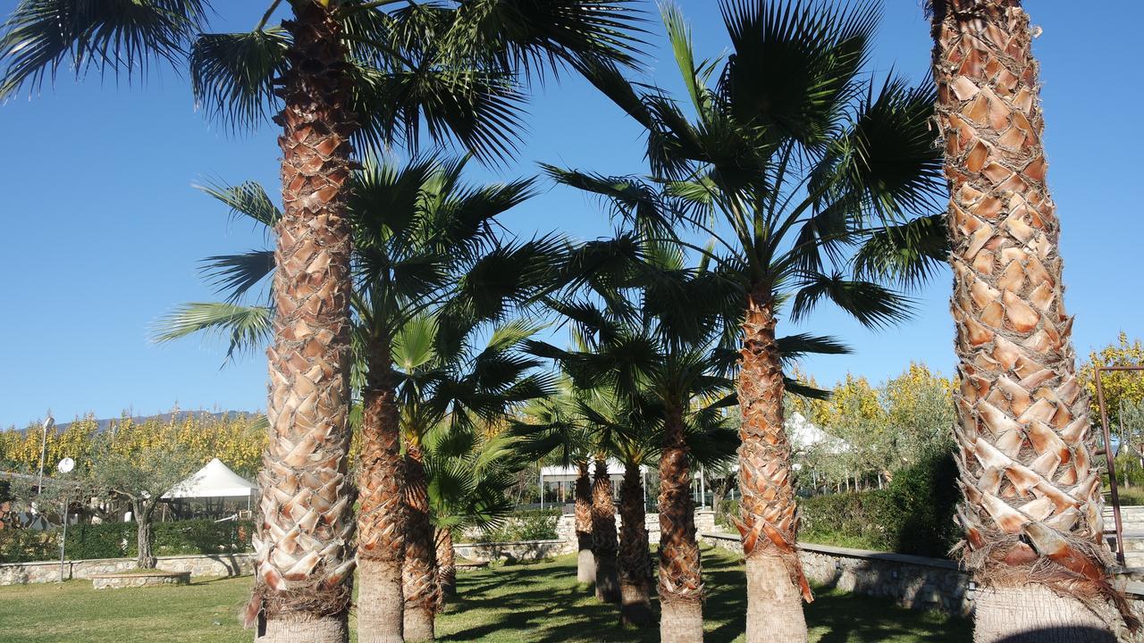 Pensjonat Agriturismo Masseria I Risi SantʼEufemia Lamezia Zewnętrze zdjęcie