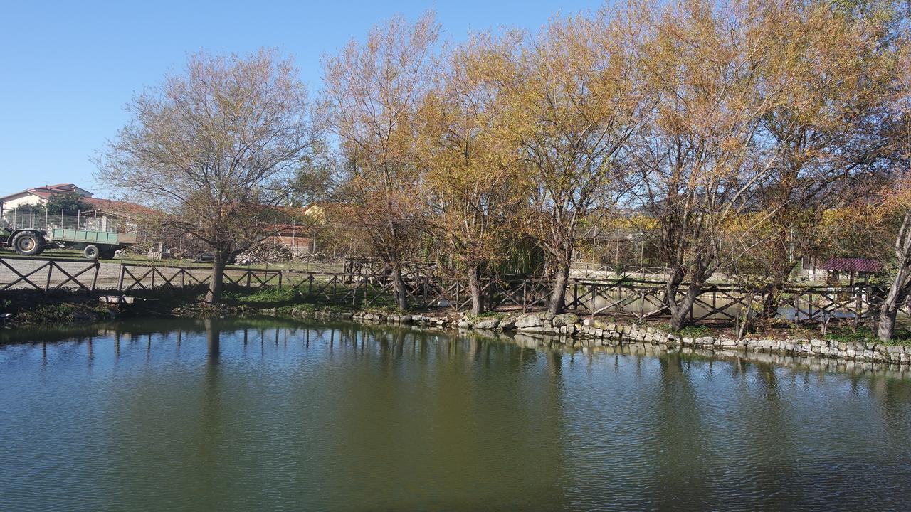 Pensjonat Agriturismo Masseria I Risi SantʼEufemia Lamezia Zewnętrze zdjęcie