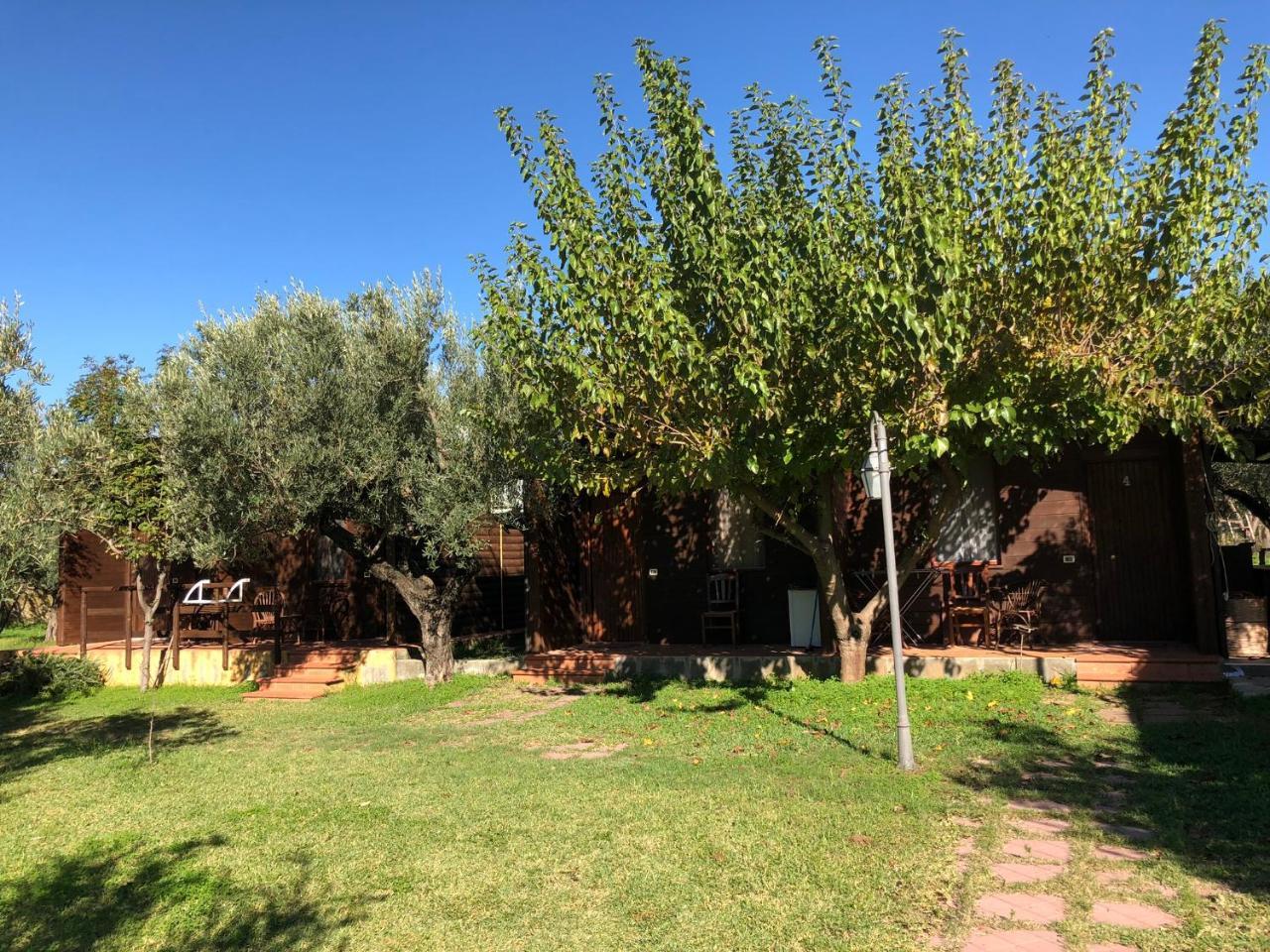 Pensjonat Agriturismo Masseria I Risi SantʼEufemia Lamezia Zewnętrze zdjęcie