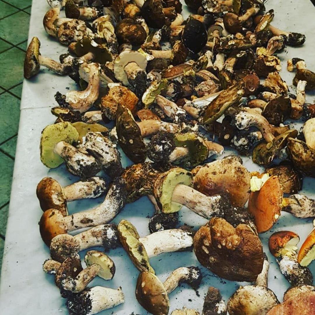 Pensjonat Agriturismo Masseria I Risi SantʼEufemia Lamezia Zewnętrze zdjęcie